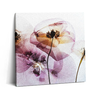 Vászonkép 60x60 Szárított mákvirágok