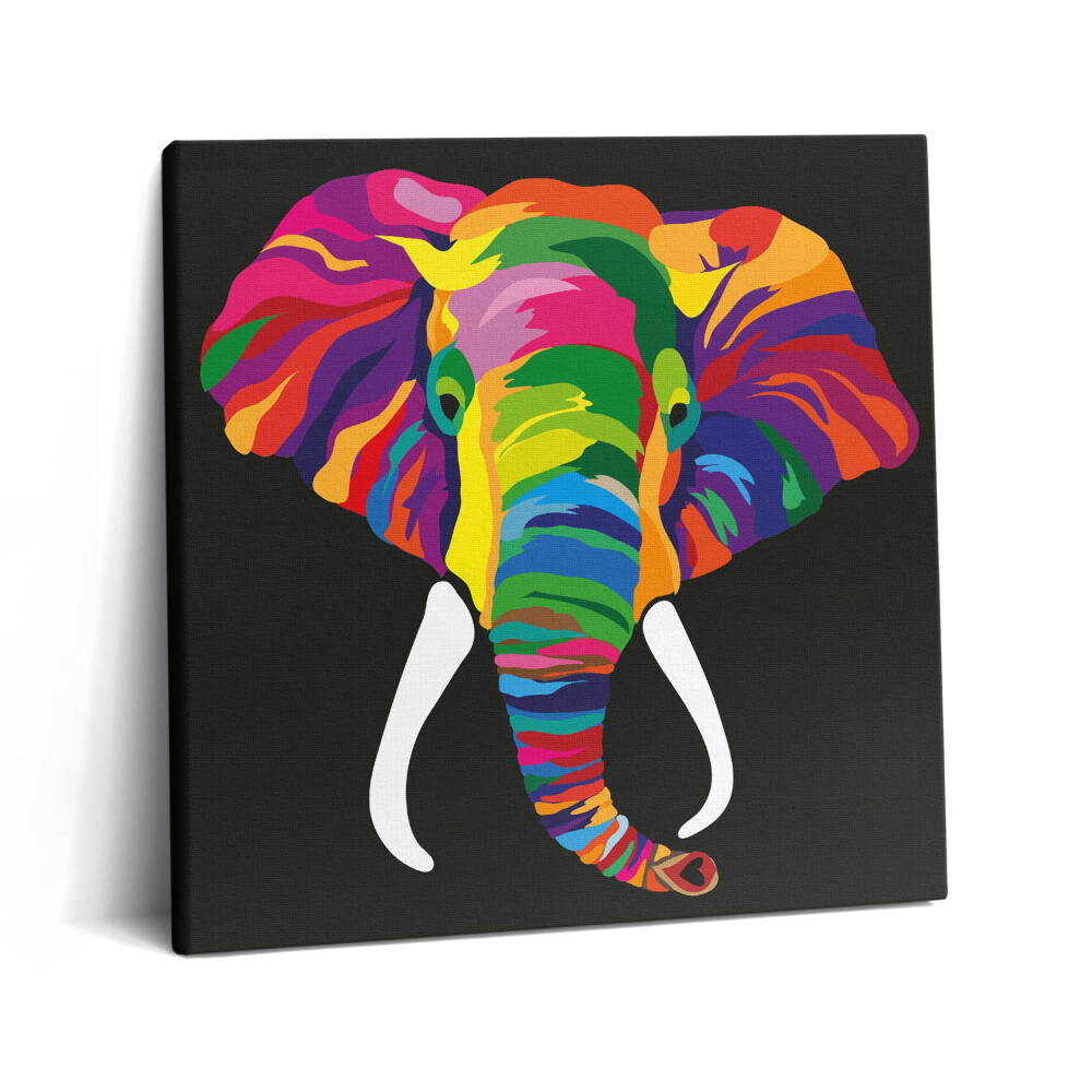 Vászonkép 60x60 Színes elefánt