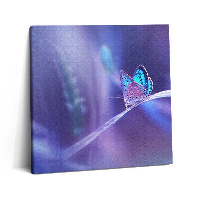 Vászonkép 60x60 Pillangó a fűben