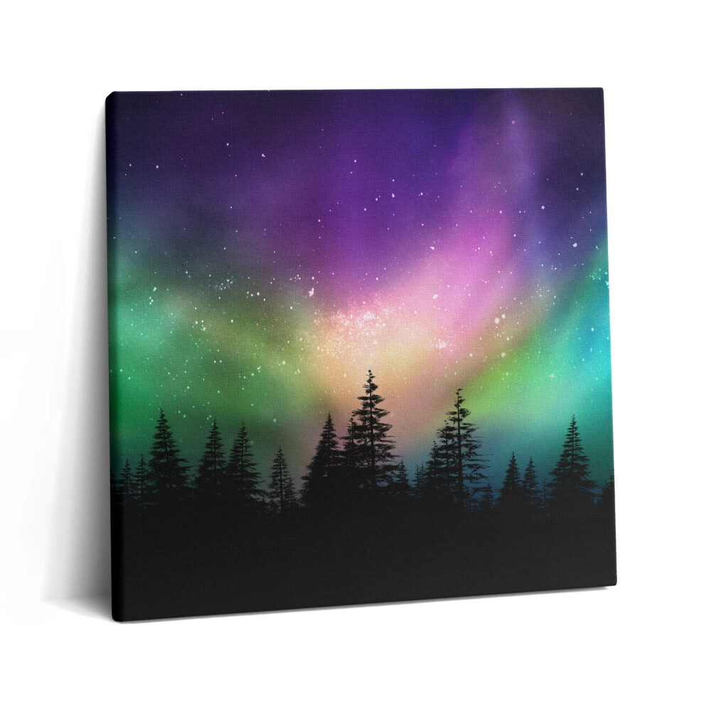 Vászonkép 60x60 Sarki fény