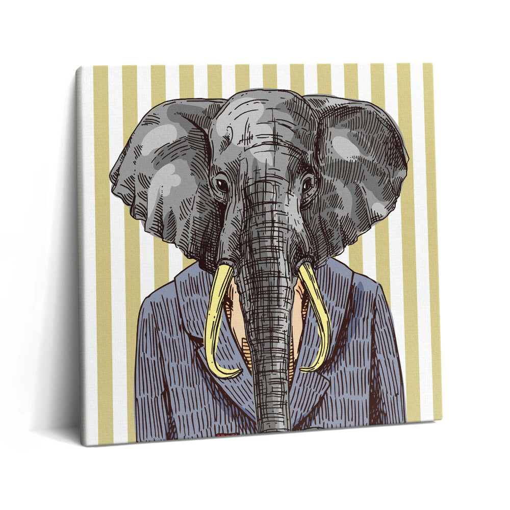 Vászonkép 60x60 Elefánt kabátban