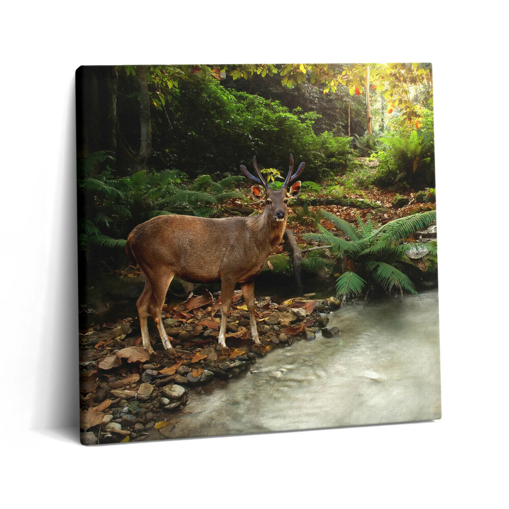 Vászonkép 60x60 Trópusi patak és szarvasok
