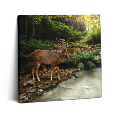 Vászonkép 60x60 Trópusi patak és szarvasok
