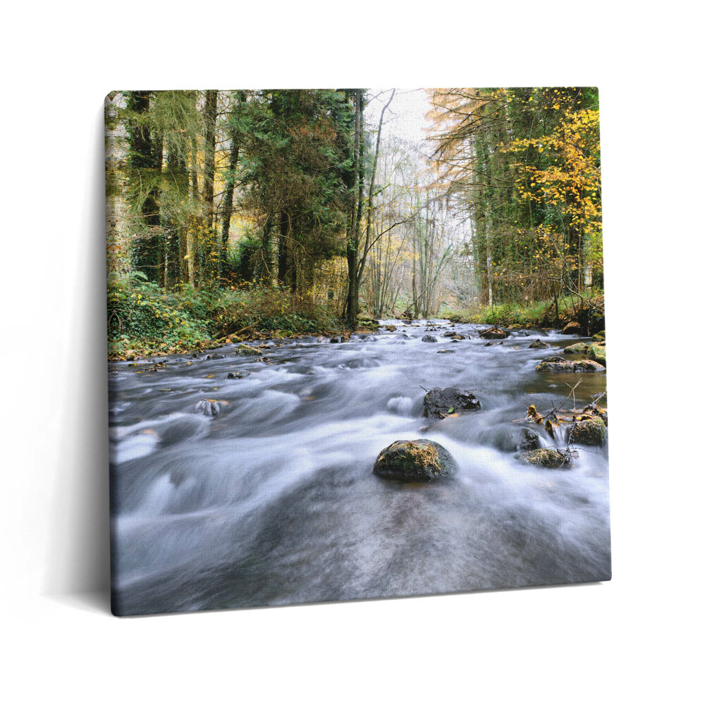 Vászonkép 60x60 Hegyi patak