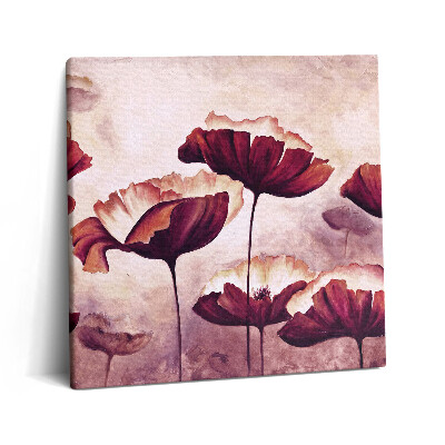 Vászonkép 60x60 Virágzó mákvirágok