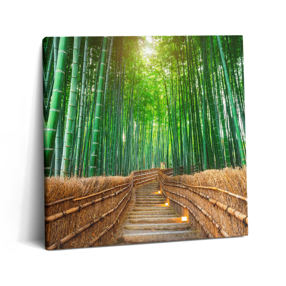 Vászonkép 60x60 Út egy bambuszos erdőben