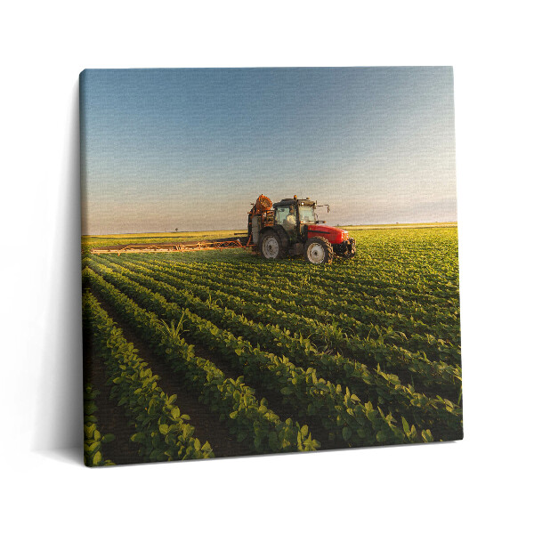 Vászonkép 60x60 Traktor permetez egy mezőn