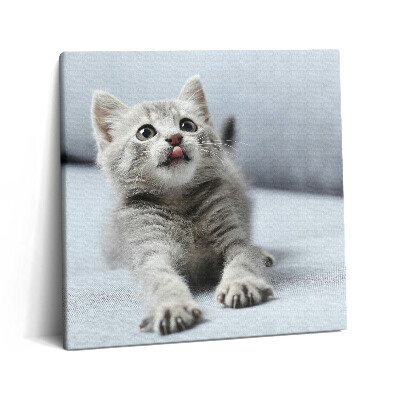 Vászonkép 60x60 Aranyos cica egy kanapén