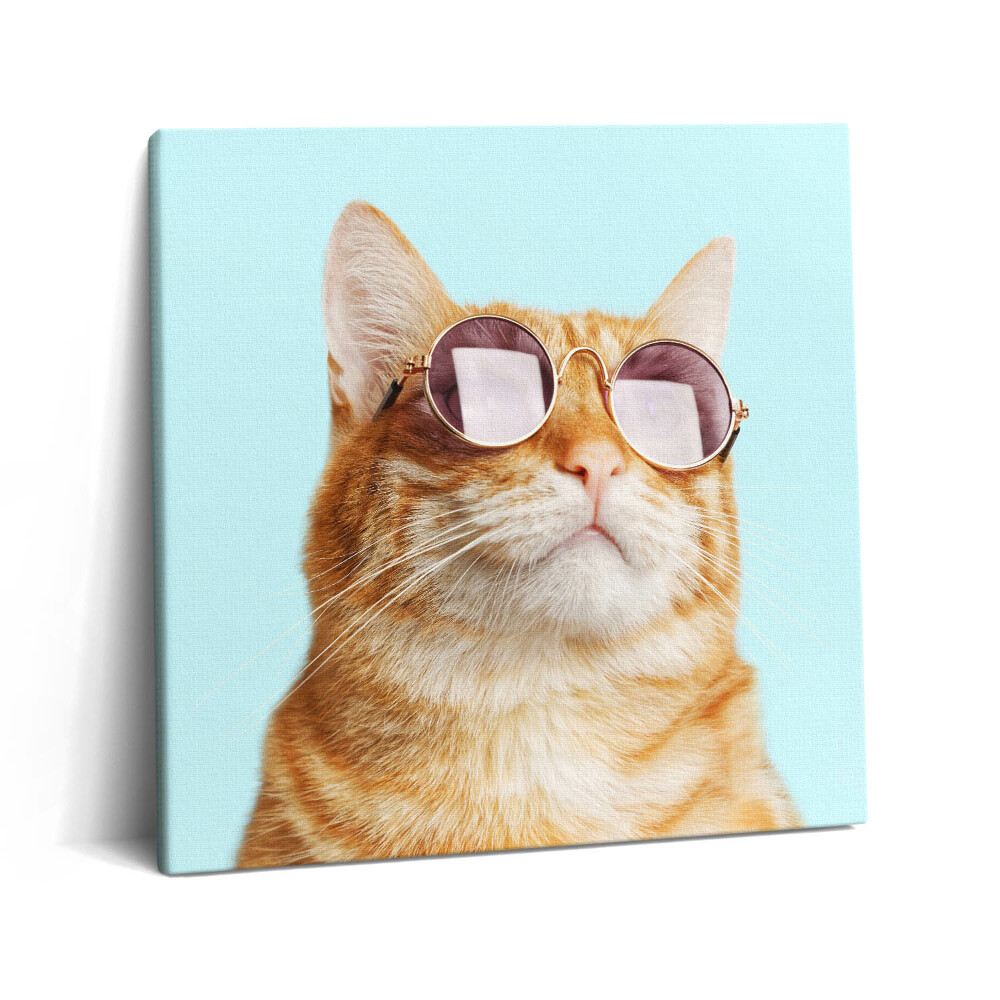 Vászonkép 60x60 Vicces macska szemüveggel