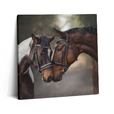 Vászonkép 60x60 Lovak portréja az erdőben