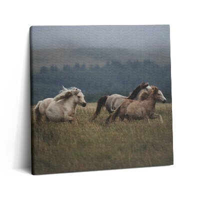 Vászonkép 60x60 Lovak galoppoznak felfelé