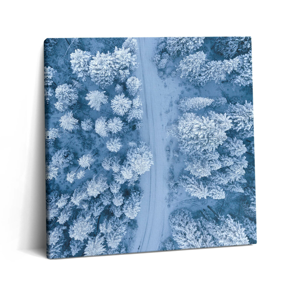 Vászonkép 60x60 Az erdő madártávlatból. Drónok