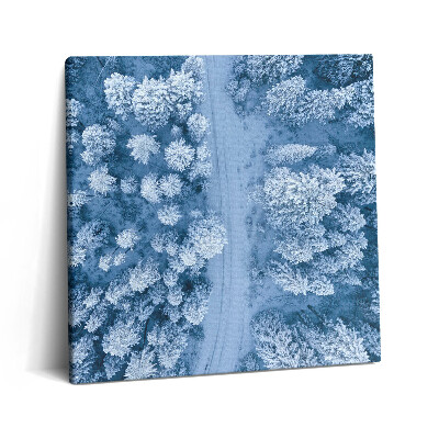 Vászonkép 60x60 Az erdő madártávlatból. Drónok