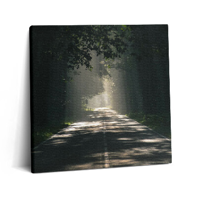 Vászonkép 60x60 Erdei út és napfénycsíkok