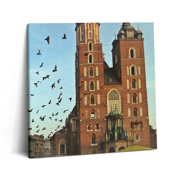 Vászonkép 60x60 Galambok Krakkó városában