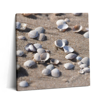 Vászonkép 60x60 Kagylók a tengerparton