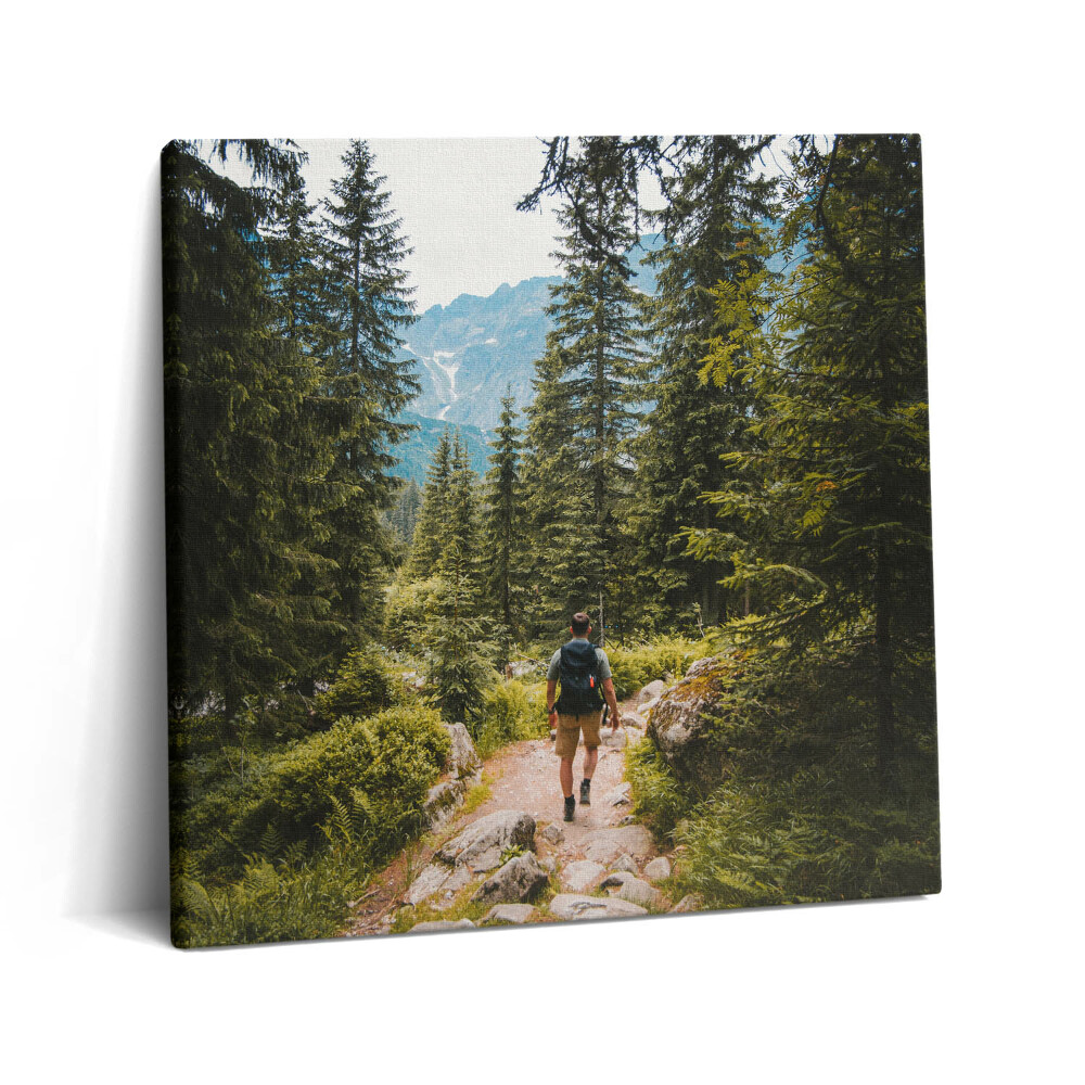Vászonkép 60x60 Ember az ösvényen Zakopanéban