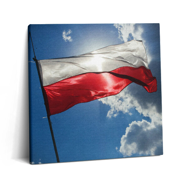 Vászonkép 60x60 Lengyel zászló az égen