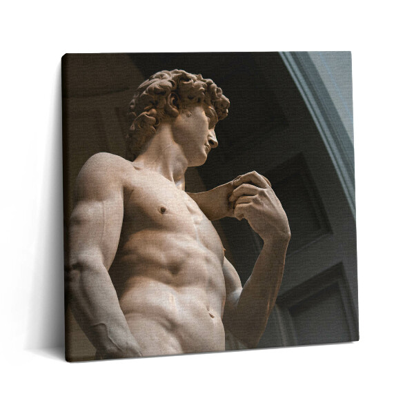Vászonkép 60x60 Dávid szobra - Michelangelo