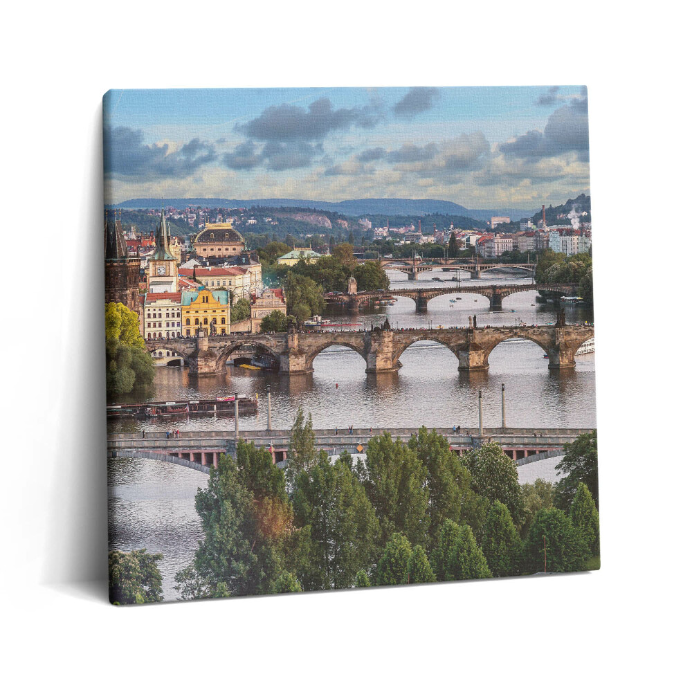 Vászonkép 60x60 Prágai kilátás