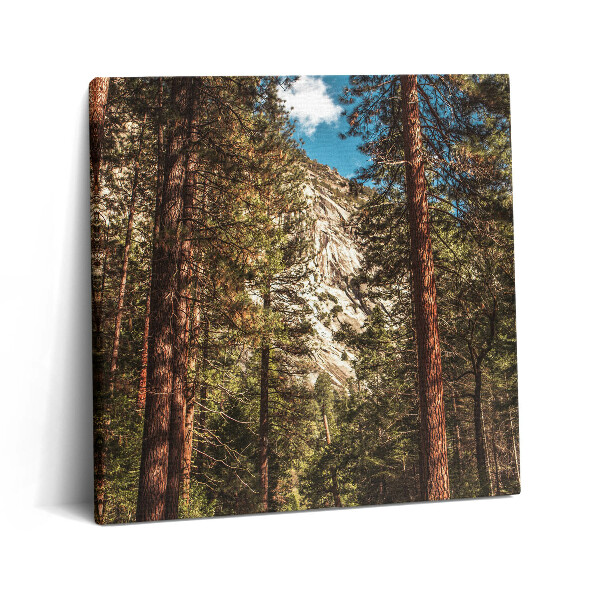 Vászonkép 60x60 Erdő a Yosemite-völgyben
