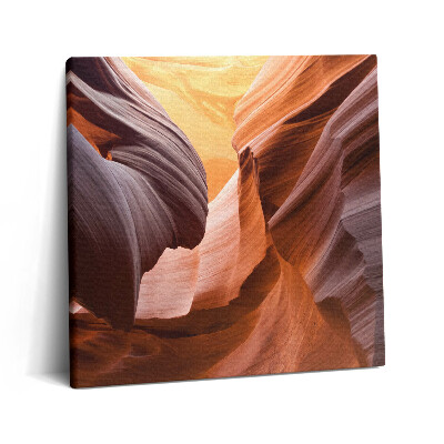 Vászonkép 60x60 Antilop-kanyon