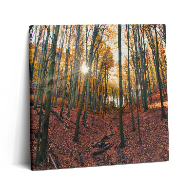 Vászonkép 60x60 Naplemente és fák