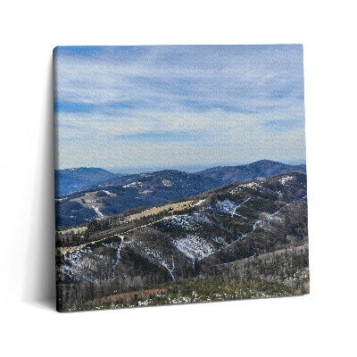 Vászonkép 60x60 Równica Ustroń tájképe