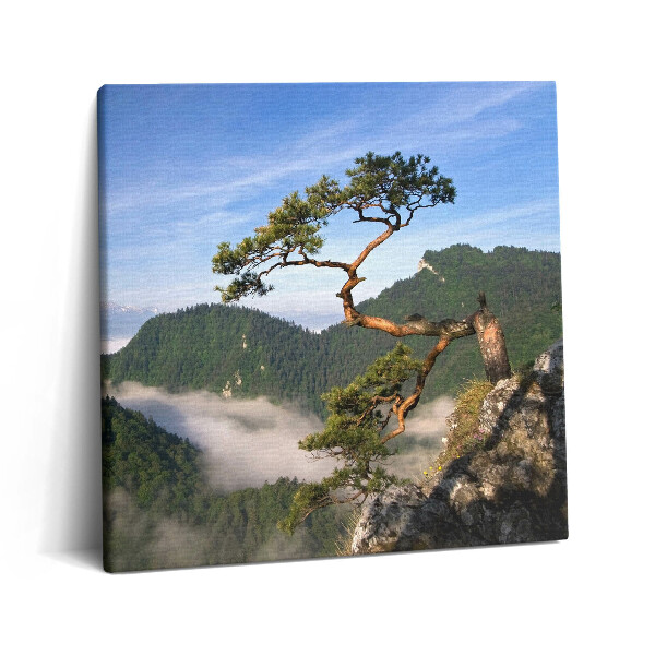 Vászonkép 60x60 Sokolica-csúcs Pieninyben