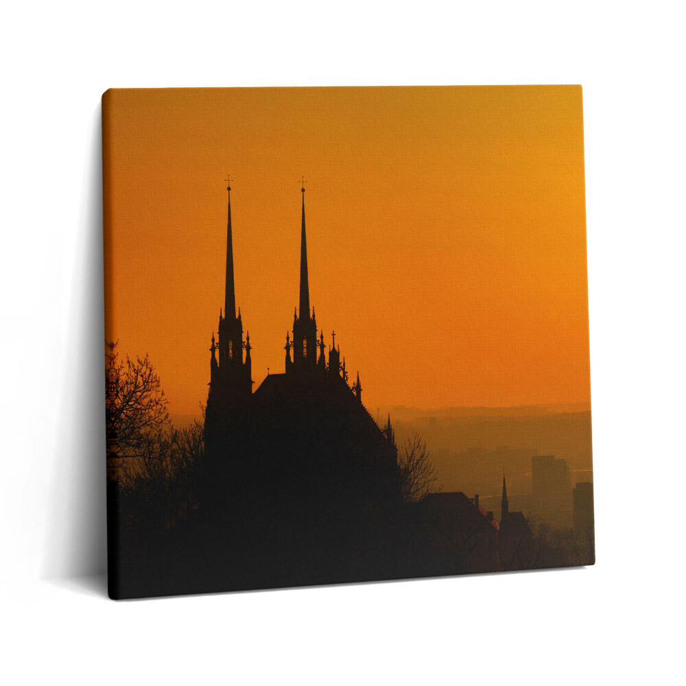 Vászonkép 60x60 A brünni székesegyház látképe