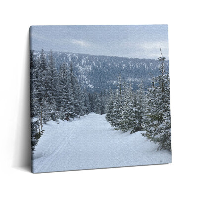 Vászonkép 60x60 Cseh óriás hegyek télen