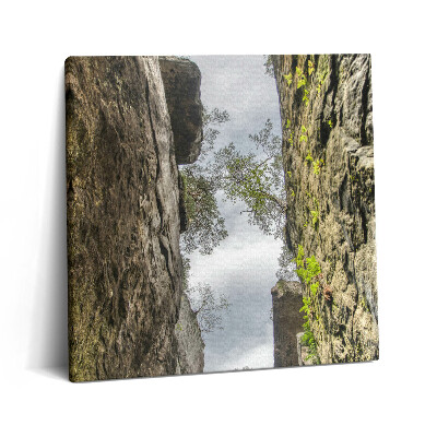 Vászonkép 60x60 Sziklaváros a Cseh Köztársaságban