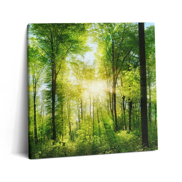 Vászonkép 60x60 Erdei fák természete
