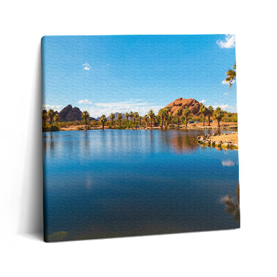 Vászonkép 60x60 A Papago park tájképe
