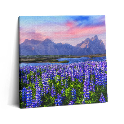 Vászonkép 60x60 Levendulamezők - Izland