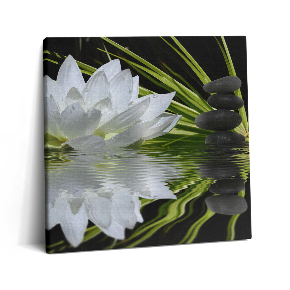 Vászonkép 60x60 Tavirózsa és levelek