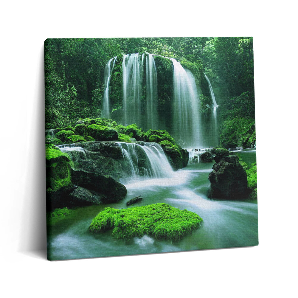 Vászonkép 60x60 Vízesés mohák között