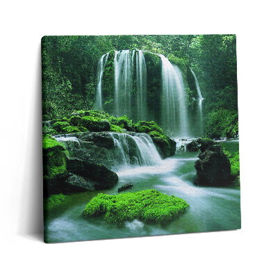 Vászonkép 60x60 Vízesés mohák között