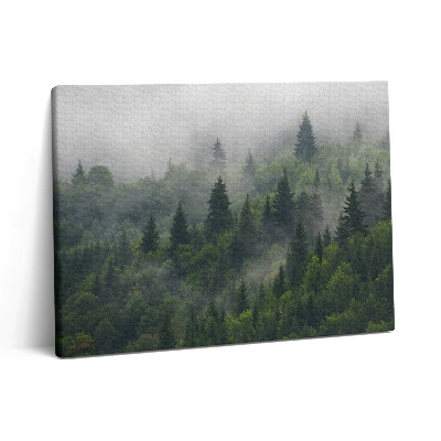 Vászonkép falra 80x60 Erdei táj ködben