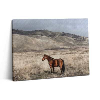 Vászonkép falra 80x60 Ménes a fű között