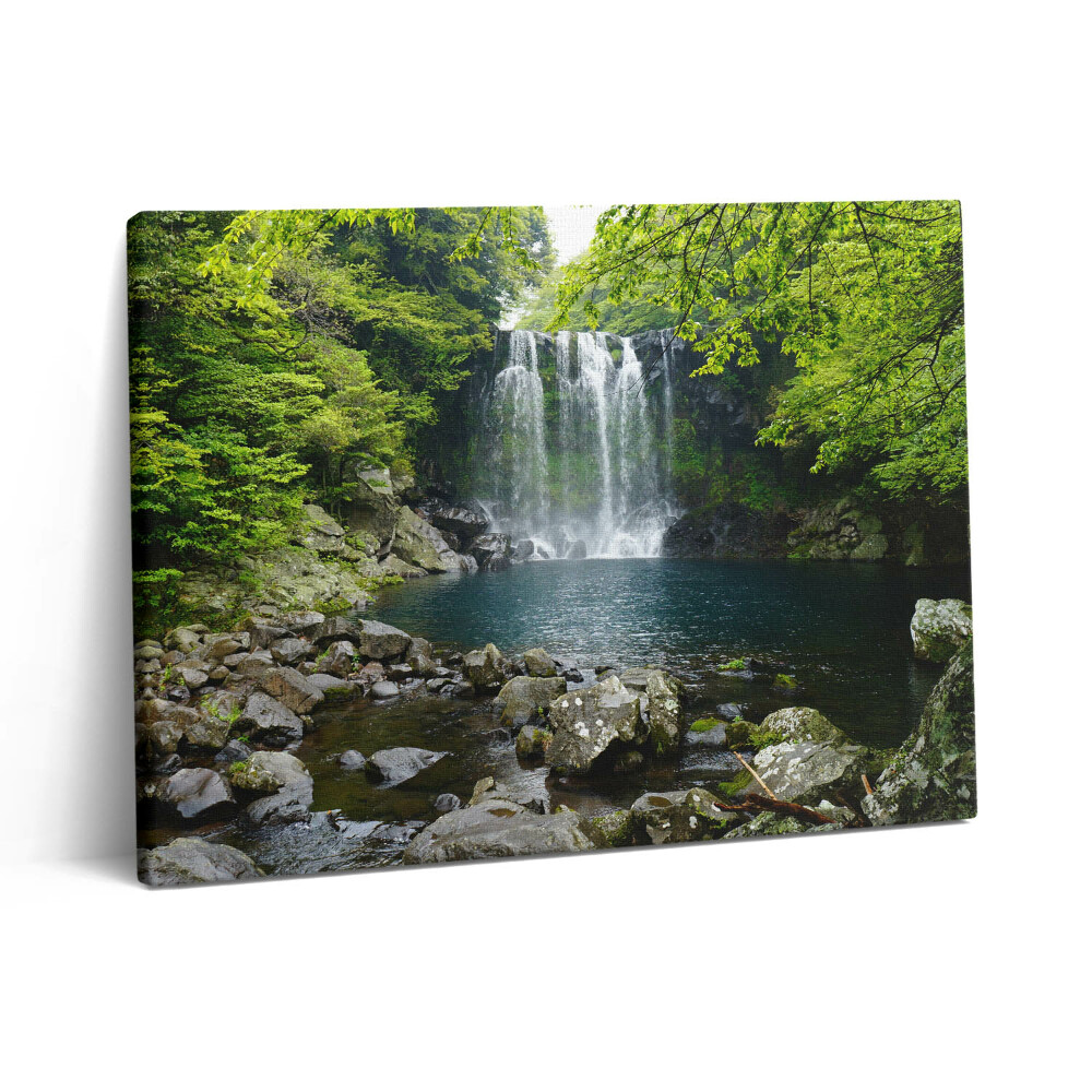 Vászonkép falra 80x60 Vízesés és folyó a fák között