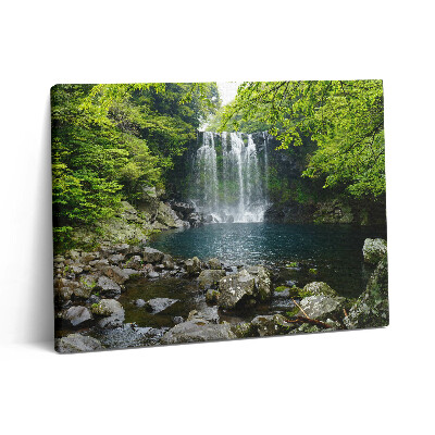 Vászonkép falra 80x60 Vízesés és folyó a fák között