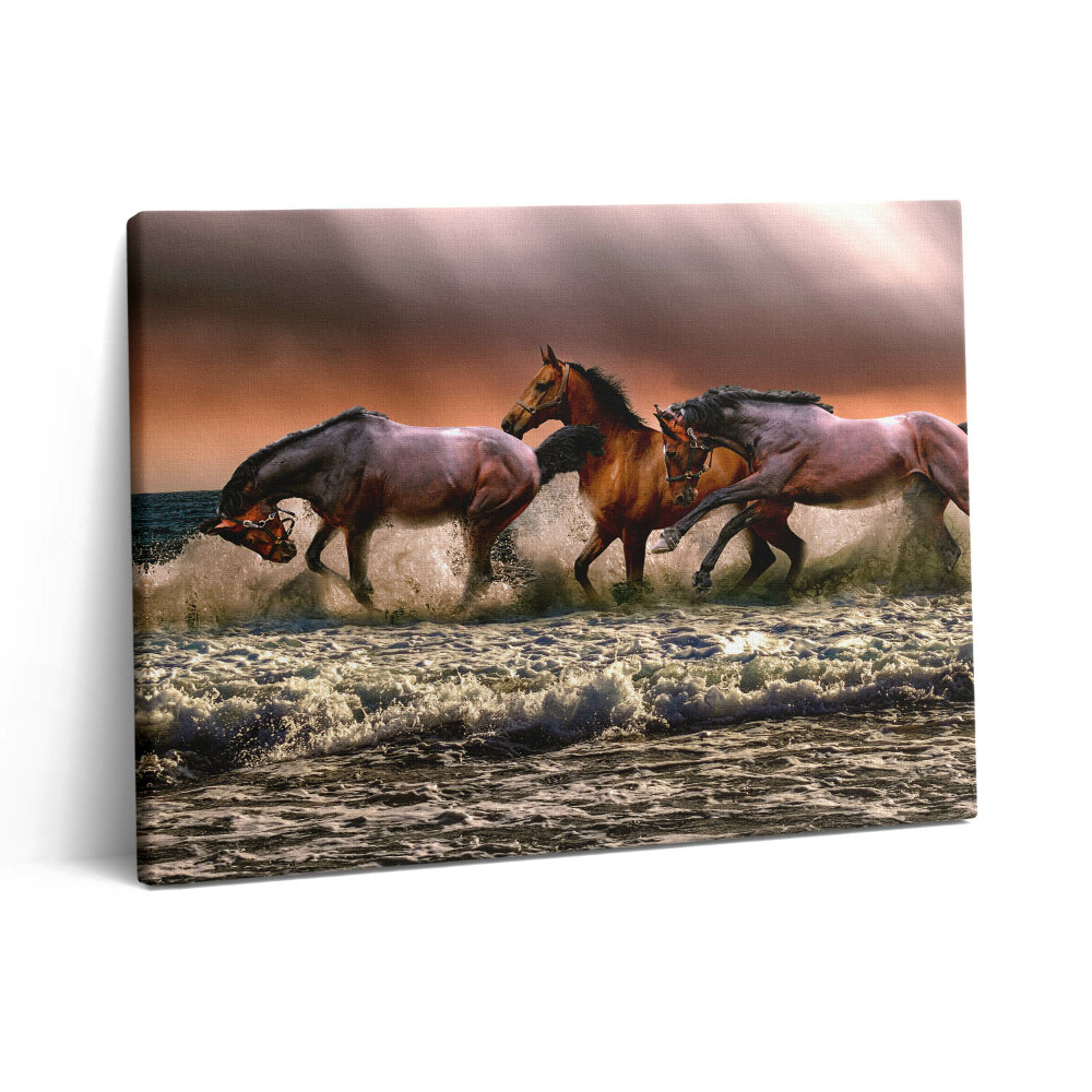 Vászonkép falra 80x60 Vízbe bukott lovak