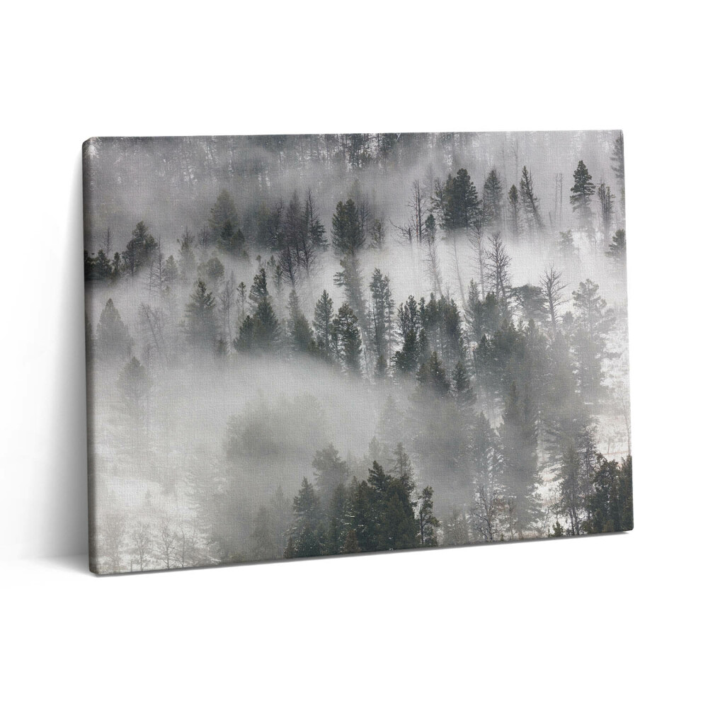 Vászonkép falra 80x60 Ködös erdei táj