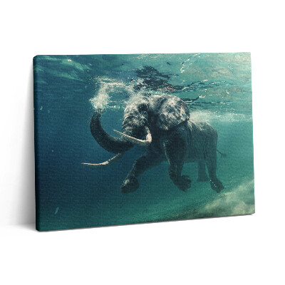 Vászonkép falra 80x60 Afrikai elefánt a vízben