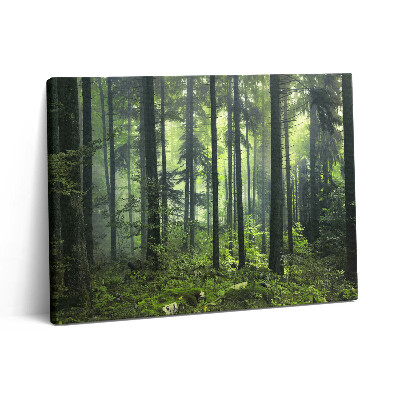 Vászonkép falra 80x60 Fákból és erdei növényzetből álló tájkép