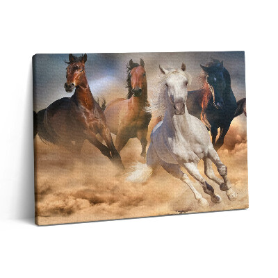 Vászonkép falra 80x60 Galoppban rohanó lovak