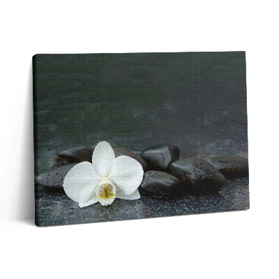 Vászonkép falra 80x60 Zen kövek fehér virágokkal