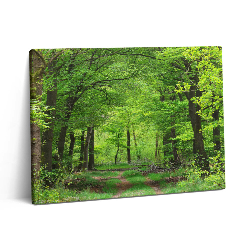 Vászonkép falra 80x60 Erdei út a fák alatt