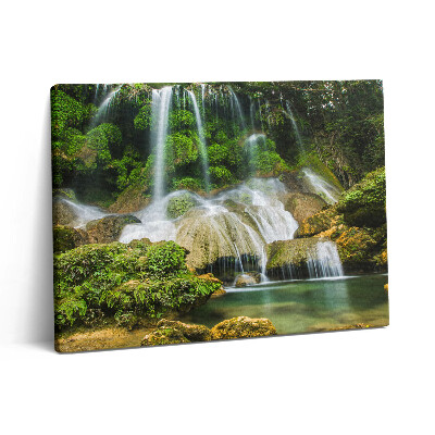 Vászonkép falra 80x60 Vad természetes vízesés